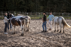  Cours et Stages